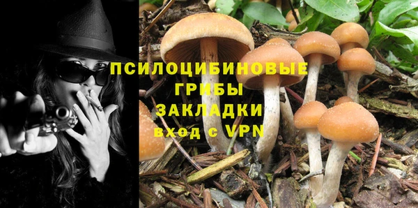 мескалин Арсеньев