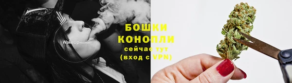 СК Аркадак