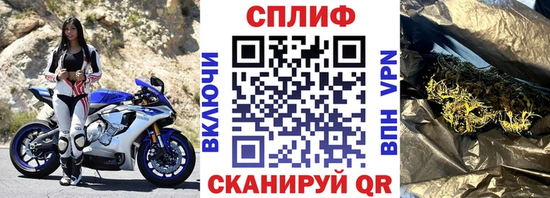 купить закладку  Себеж  Каннабис VHQ 
